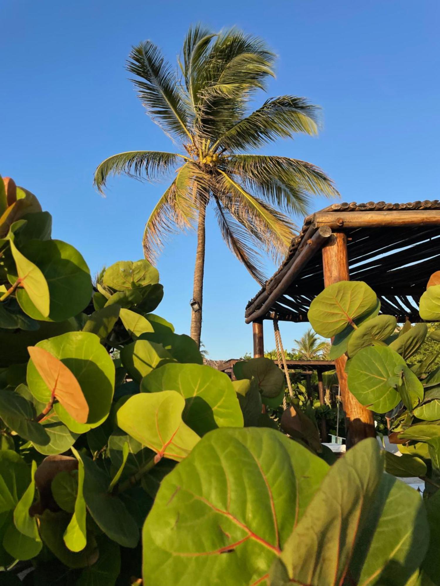 Namaste Beach Club & Hotel Playa Punta Arena Exterior foto